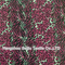 100% Polyester Printed Hachi 10331 Fabric