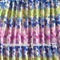 100% Polyester Chiffon Printed Pleated Fabric