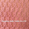 Nylon/Spandex Lace Fabric