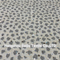 Polyester/Spandex Hachi Printed On Ivory Silver Color With Disco Dot Fabric