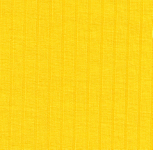 100% POLYESTER RIB FABRIC HZQT-2110483