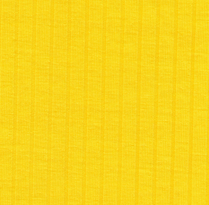 100% POLYESTER RIB FABRIC HZQT-2110483