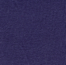 100% COTTON RIB HZQT-2110540