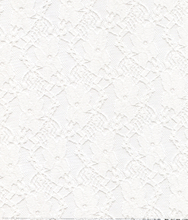 87% POLYAMIDE 13% ELASTANE LACE HZQT-2413294