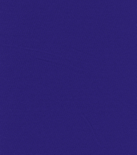 55% COTTON 45% POLYESTER BIRDSEYE(BDE) HZQT-2513431