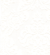 50% COTTON 50% NYLON LACE HZQT-2413202