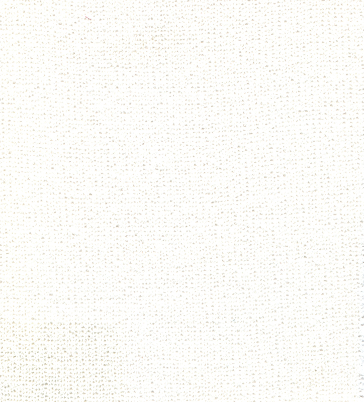 100% POLYESTER KNIT FABRIC HZQT-2412948