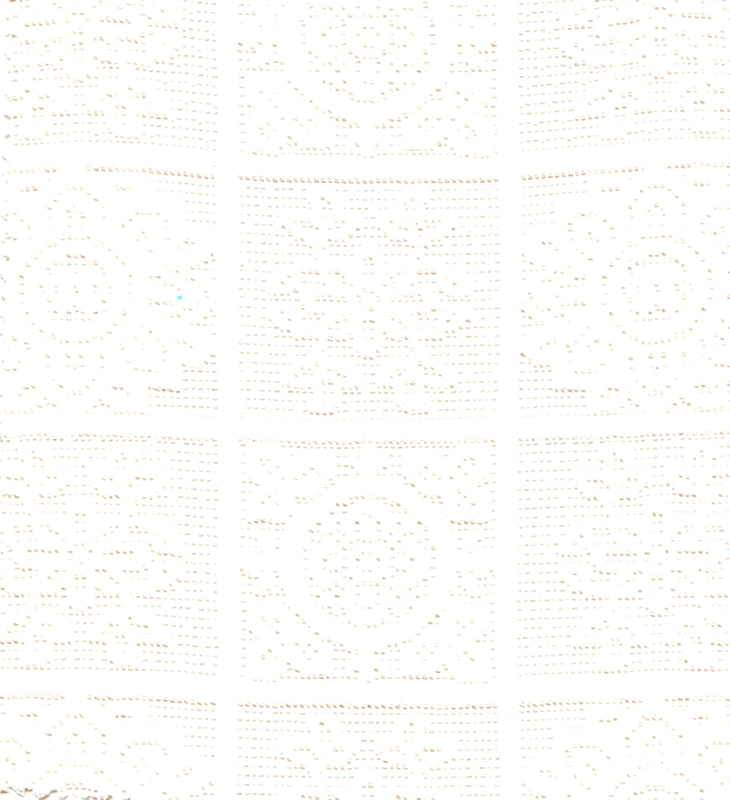 50%COTTON 50%NYLON LACE HZQT-2413203