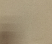 Twill With Brush Fabric