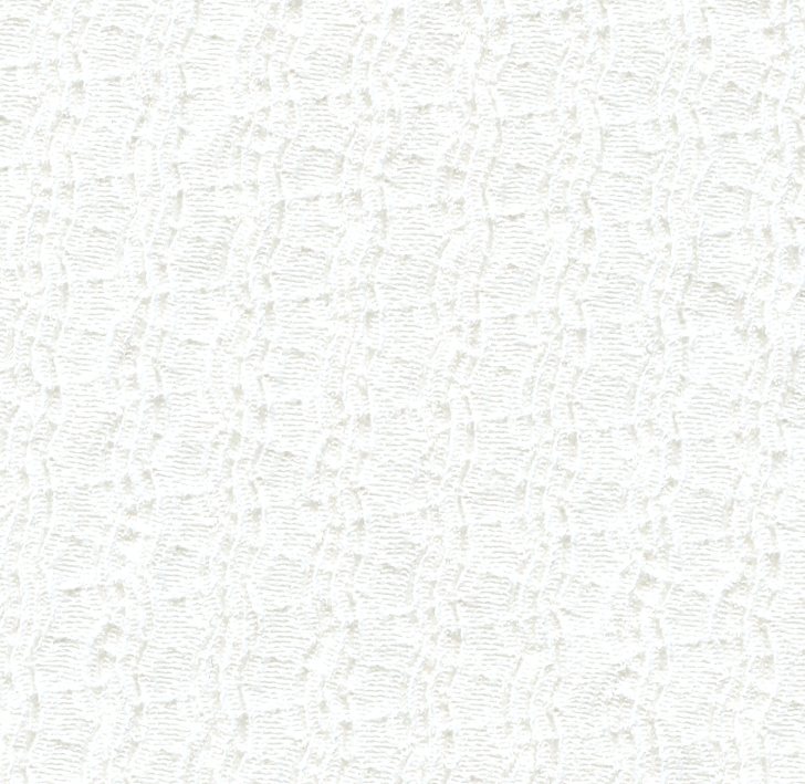 POLYESTER/SPANDEX LACE FABRIC HZQT-2110548