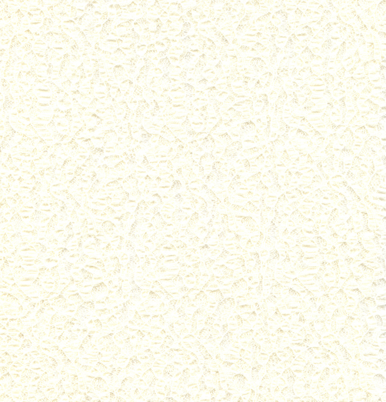 NYLON/SPANDEX LACE HZQT-2412843