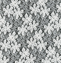 Lace Fabric
