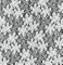 Lace Fabric