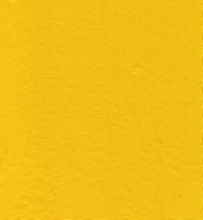 POLYESTER/SPANDEX 1X1 RIB HZQT-2412939