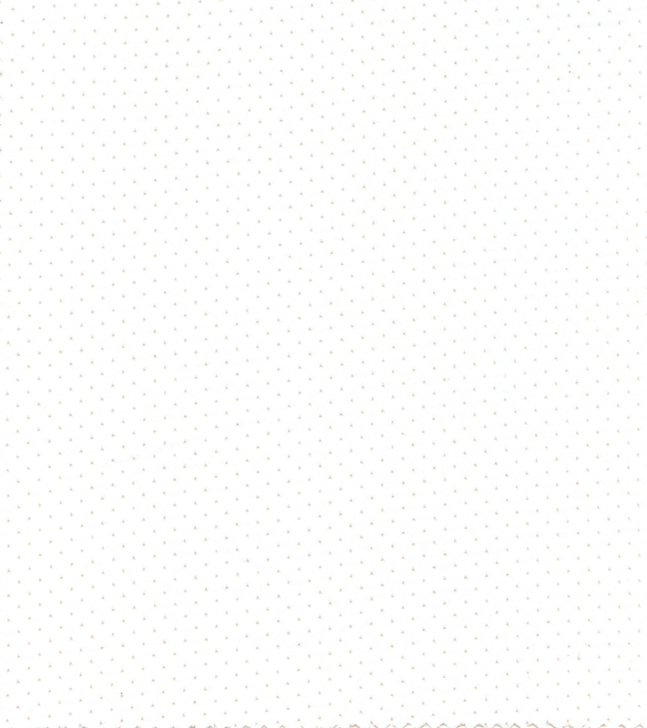 100% POLYESTER MESH HZQT-2412915