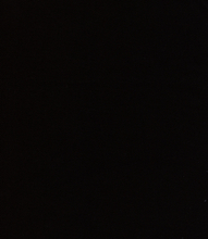 98% COTTON 2% SPANDEX TWILL HZQT-2412838