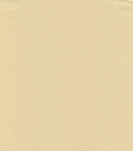 100% POLYESTER WOVEN HZQT-2412855