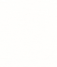 Slub Solid Dyed Fabric 