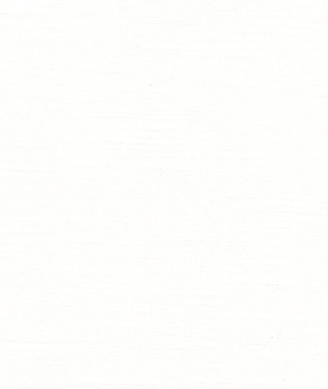 Slub Solid Dyed Fabric 