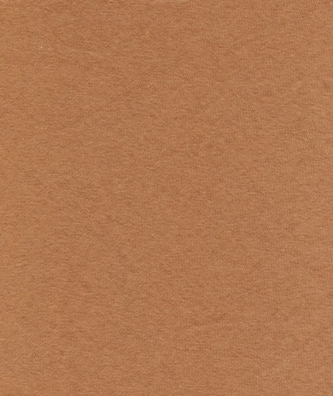 79% COTTON 21% POLYESTER FRENCH TERRY WITH BRUSH HZQT-2412850