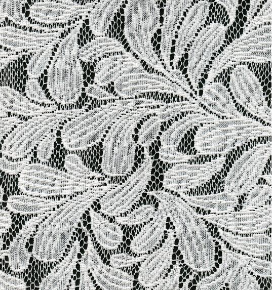 Lace Fabric