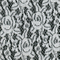 Lace Fabric